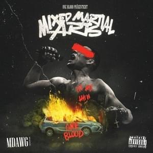 Cover image for Mixed Martial Arts