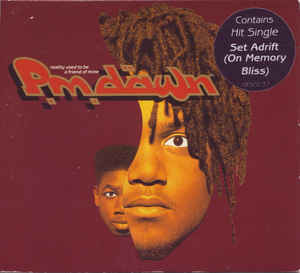 Album cover art for "Reality Used To Be A Friend Of Mine" by P.M. Dawn