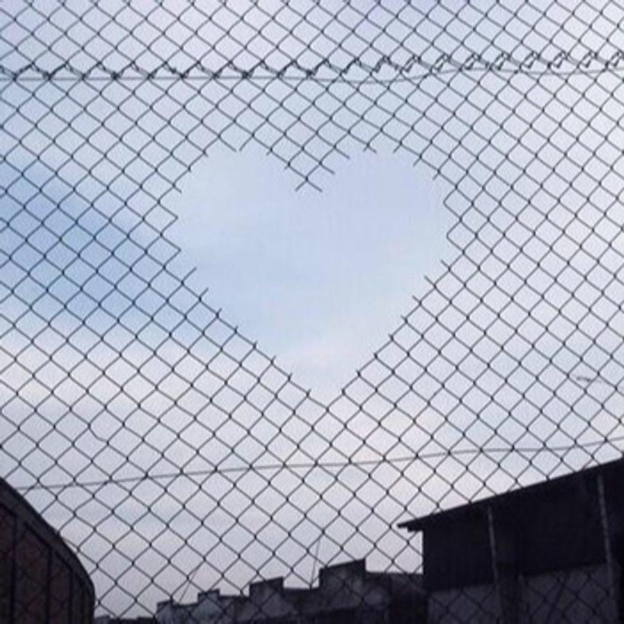 Album cover art for "i couldn’t love you" by Nosgov
