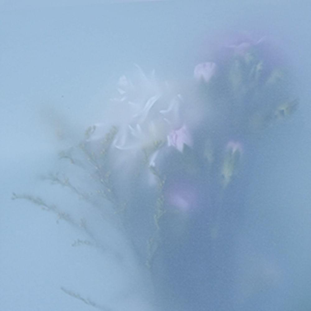 Album cover art for "Eyes Don’t Say It" by Maria Somerville