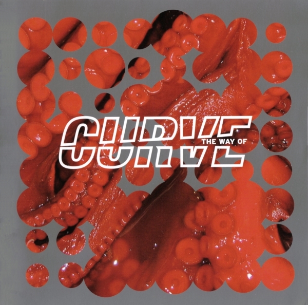 Album cover art for "Nice and Easy" by Curve