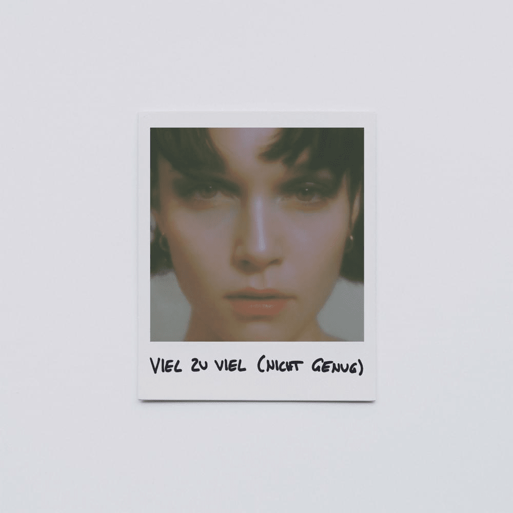 Album cover art for "VIEL ZU VIEL (NICHT GENUG)" by LOTTE