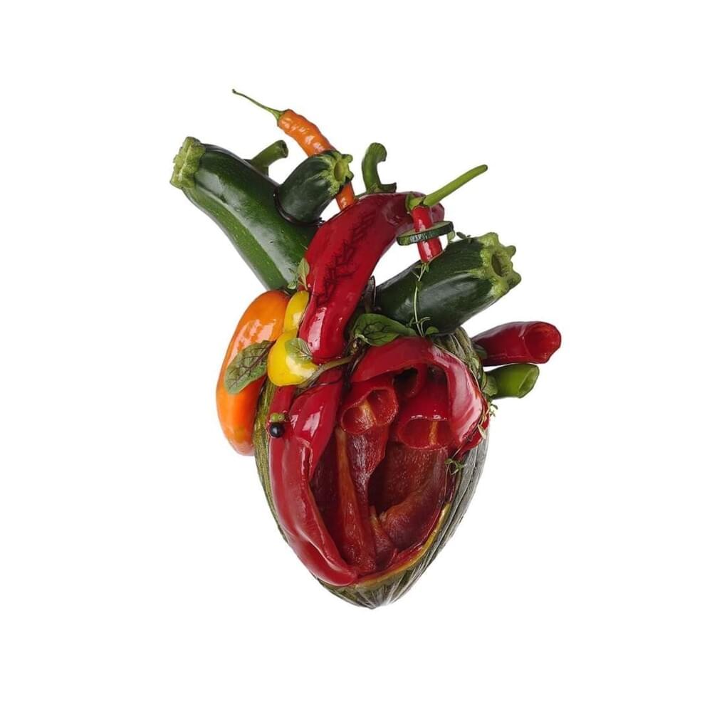Cover image for Torn Arteries