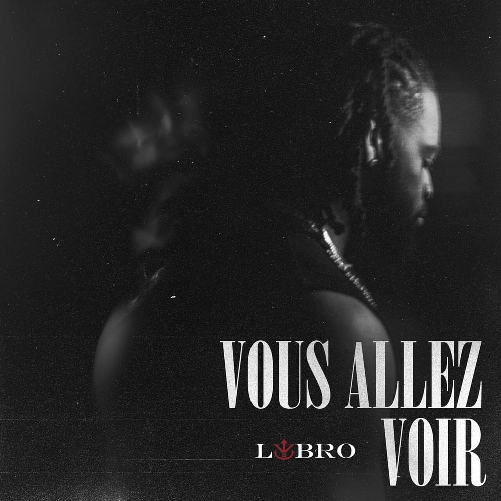 Vous allez voir by Lybro