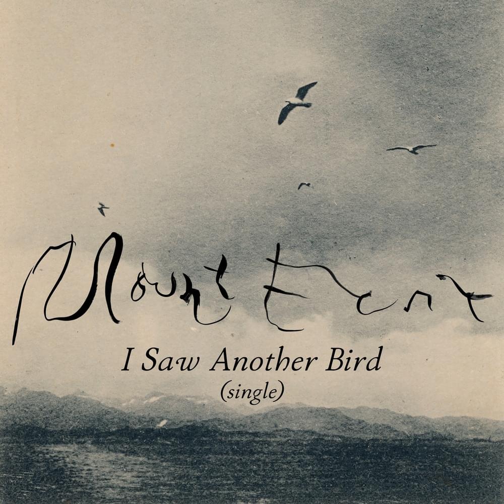 Album cover art for "I Saw Another Bird" by Mount Eerie