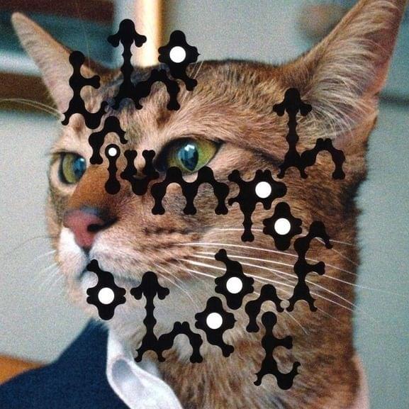 Album cover art for "Triumph of a Heart" by Björk