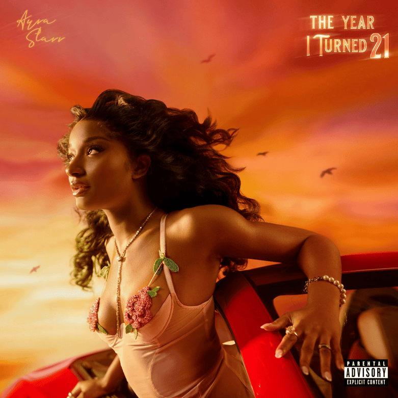 Cover image for The Year I Turned 21 (Deluxe)*