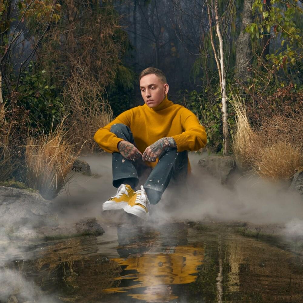 Cover image for misery lake