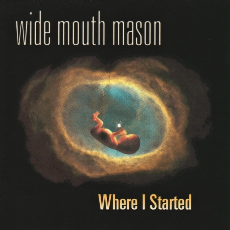 Why by Wide Mouth Mason