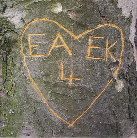 Album cover art for "Emily Kane" by Art Brut