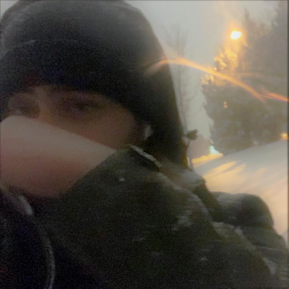 Cover image for bleach-white winter