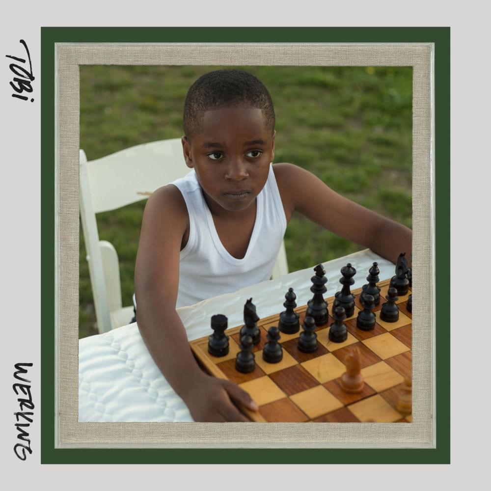 Album cover art for "Werking" by TOBi