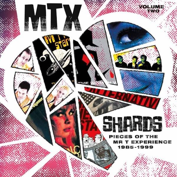 Cover image for Shards Volume Two