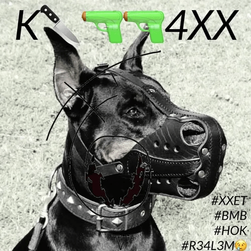 Cover image for K🔪🔫🔫4XX