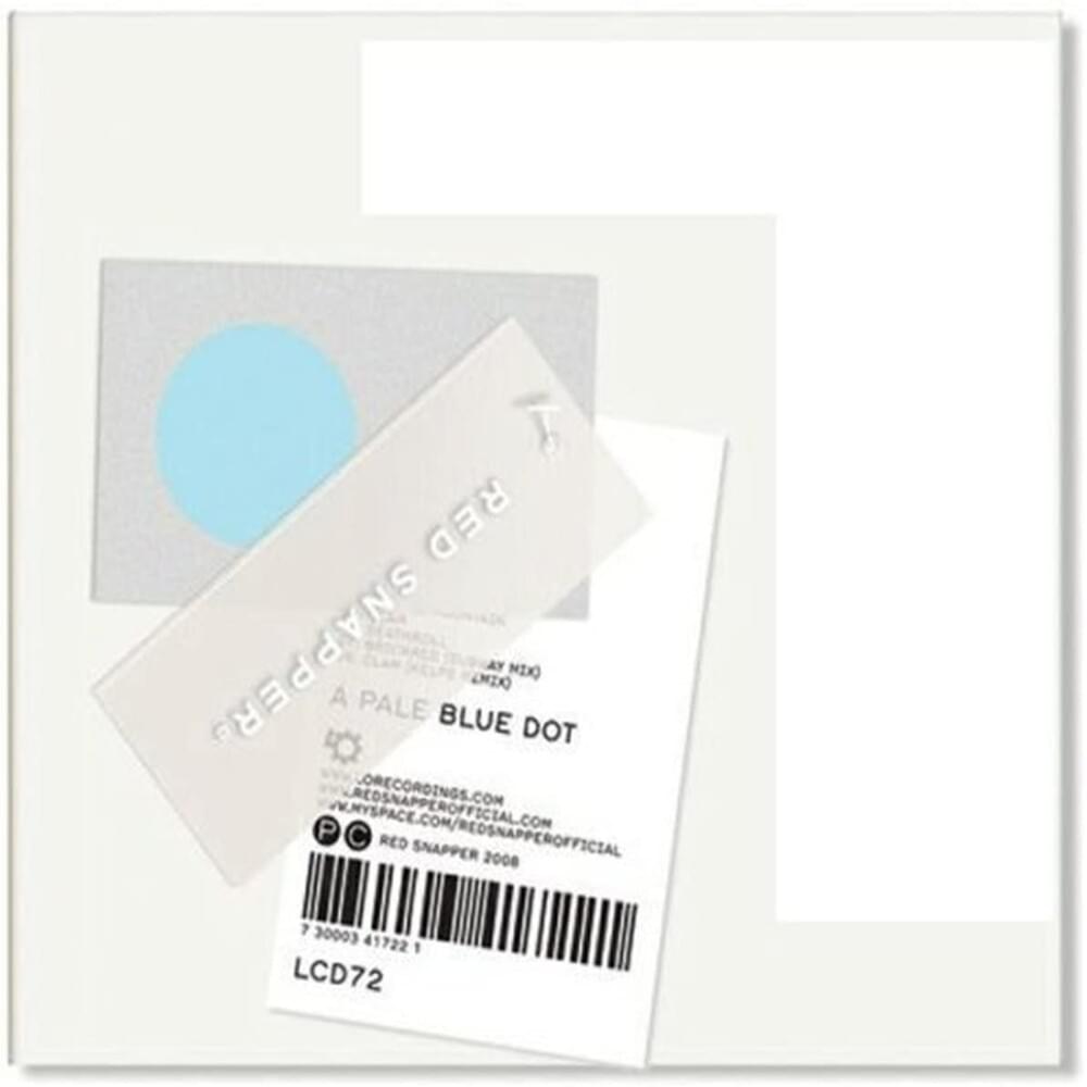 Cover image for A Pale Blue Dot