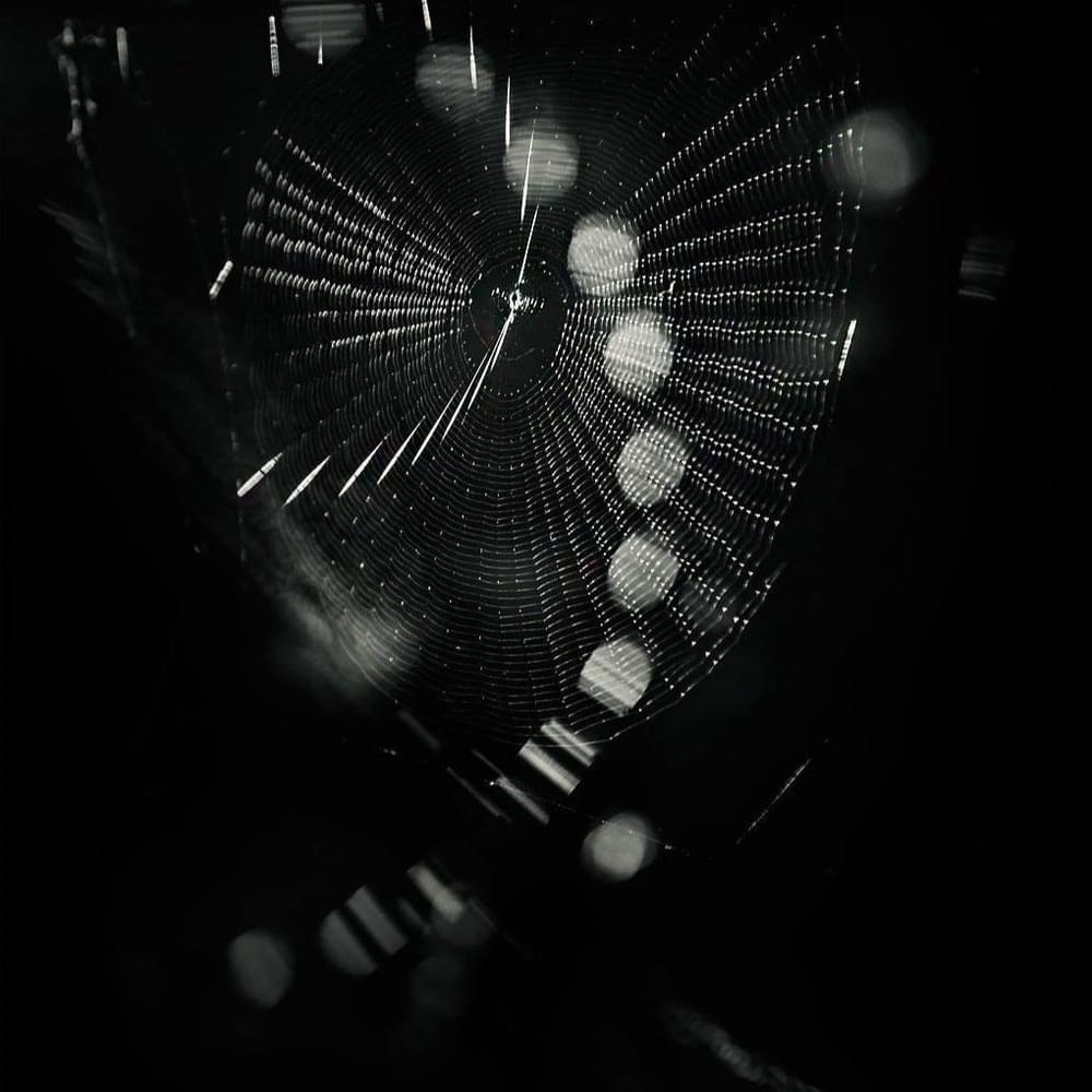 Cover image for I
