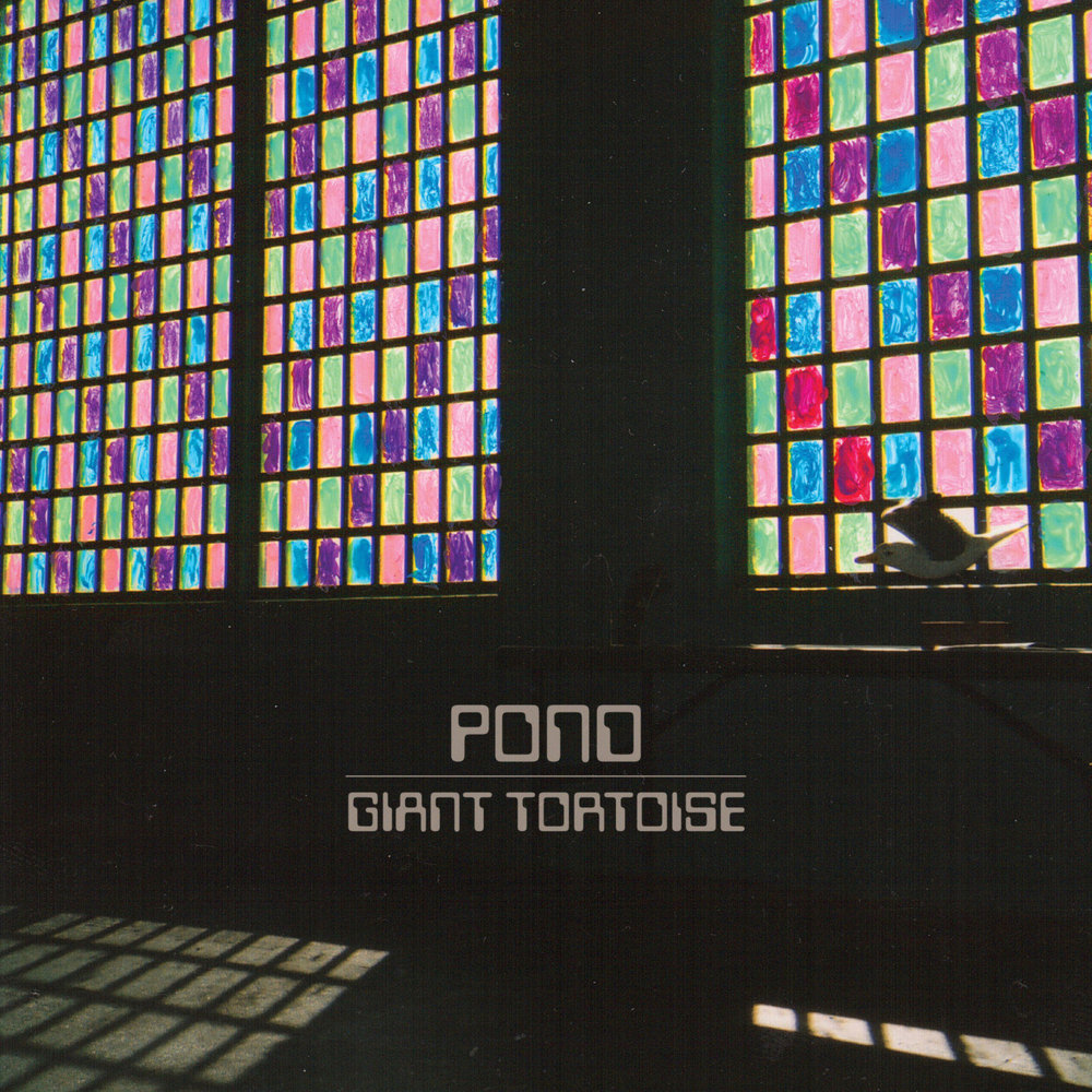 Album cover art for "Giant Tortoise" by Pond