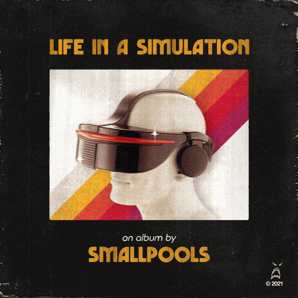 Cover image for LIFE IN A SIMULATION