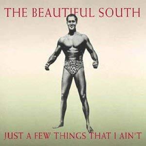 Album cover art for "Just a Few Things That I Ain’t" by The Beautiful South