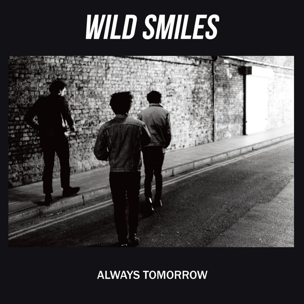 Album cover art for "Fool For You" by Wild smiles