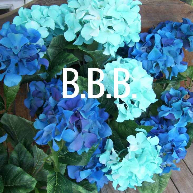 Album cover art for "B.B.B." by Formerly VinylZombie_MCR