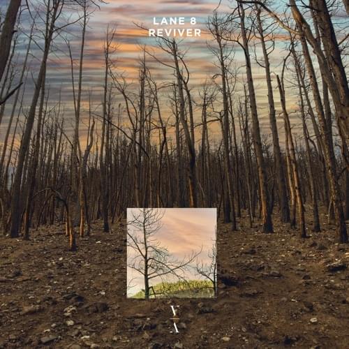 Album cover art for "Reviver" by Lane 8