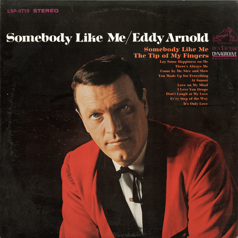 Cover image for Somebody Like Me