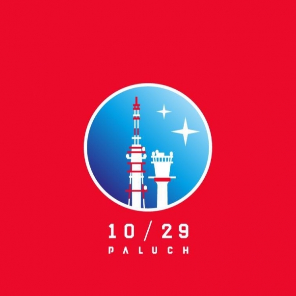 Album cover art for "W kawałkach" by Paluch