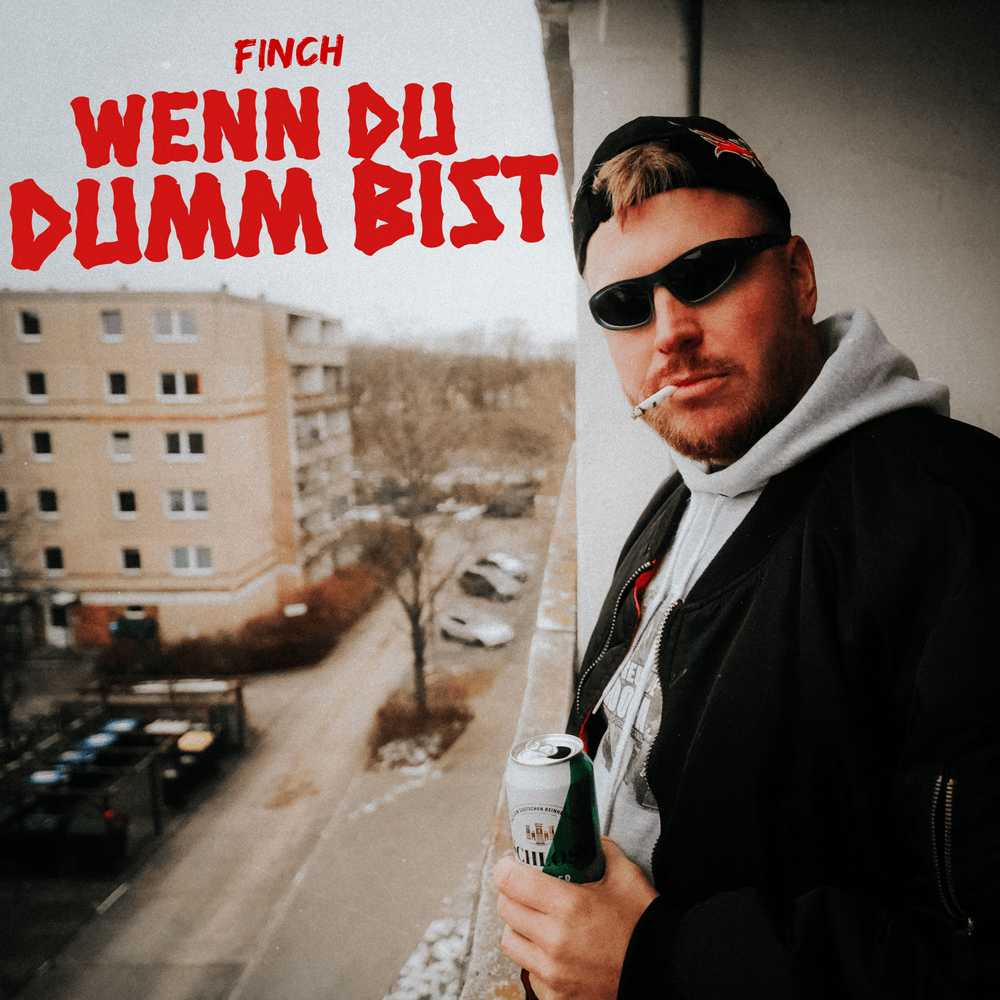 Album cover art for "WENN DU DUMM BiST" by FiNCH