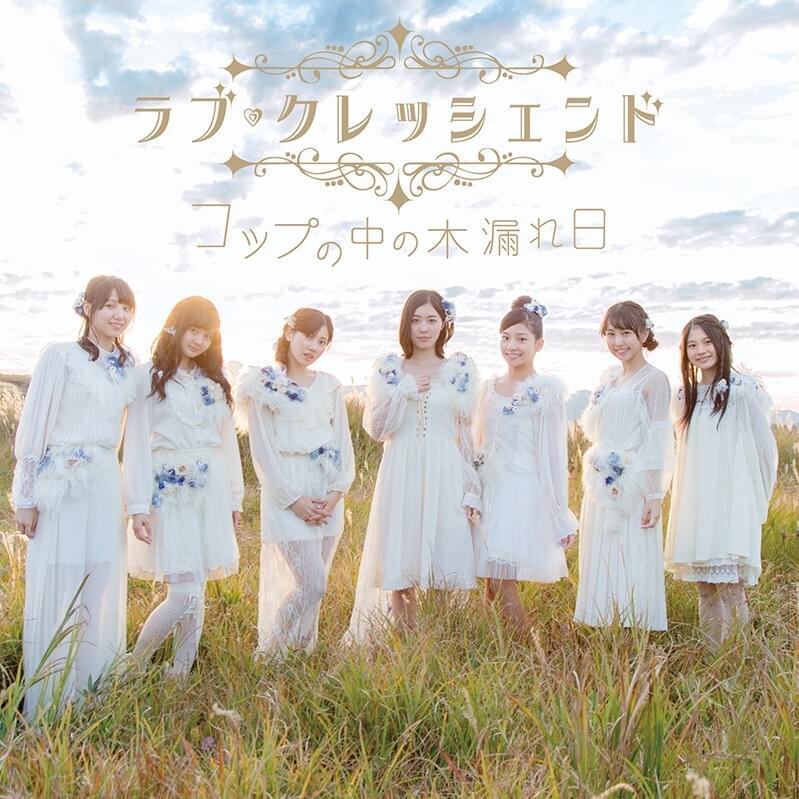Cover image for コップの中の木漏れ日 (Cup no naka no komorebi)
