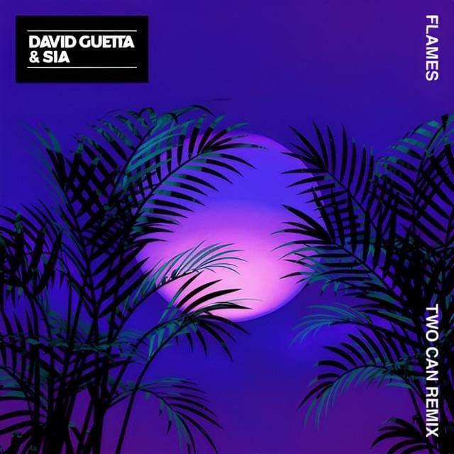 Album cover art for "Flames (Two Can Remix)" by David Guetta