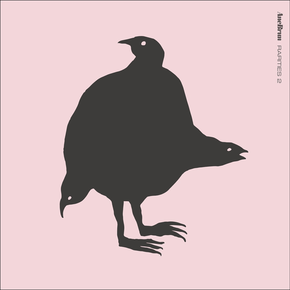 Cover image for Rarities 2