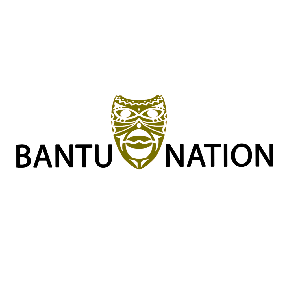 Cover image for Bantu Nation