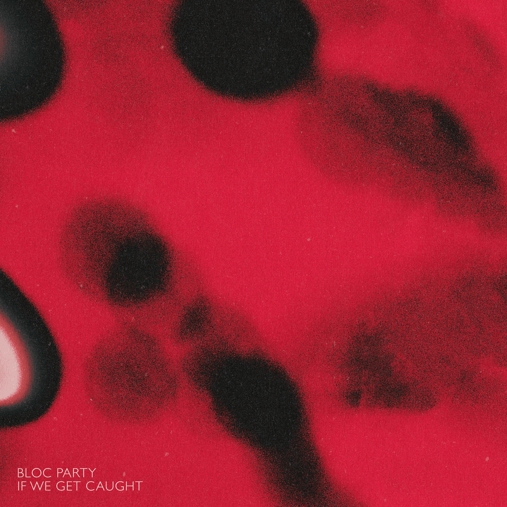 Album cover art for "If We Get Caught" by Bloc Party
