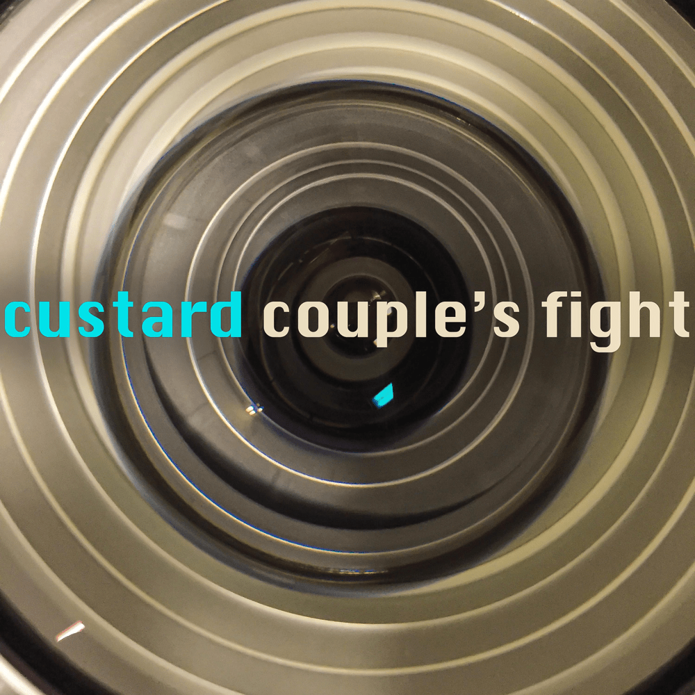 Album cover art for "Couple’s Fight" by Custard