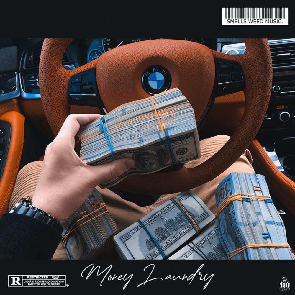 Cover image for Money Laundry