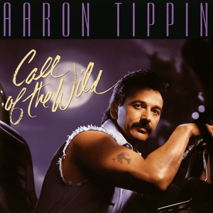 Album cover art for "Working Man’s Ph.D" by Aaron Tippin