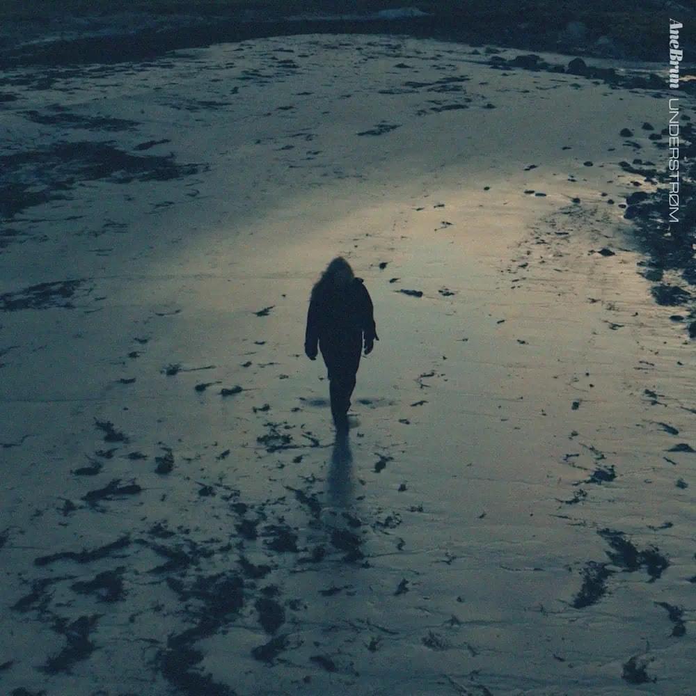 Album cover art for "Understrøm" by Ane Brun
