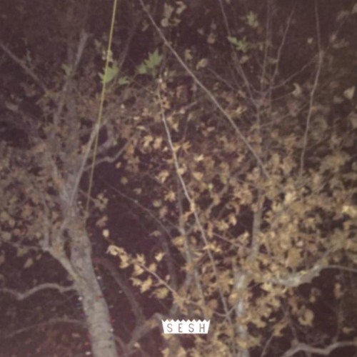 Album cover art for "Into the trees" by Kodyak