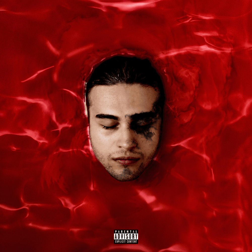 Cover image for ȘTEFAN IV EVER