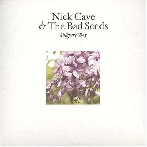 Album cover art for "Nature Boy" by Nick Cave & The Bad Seeds