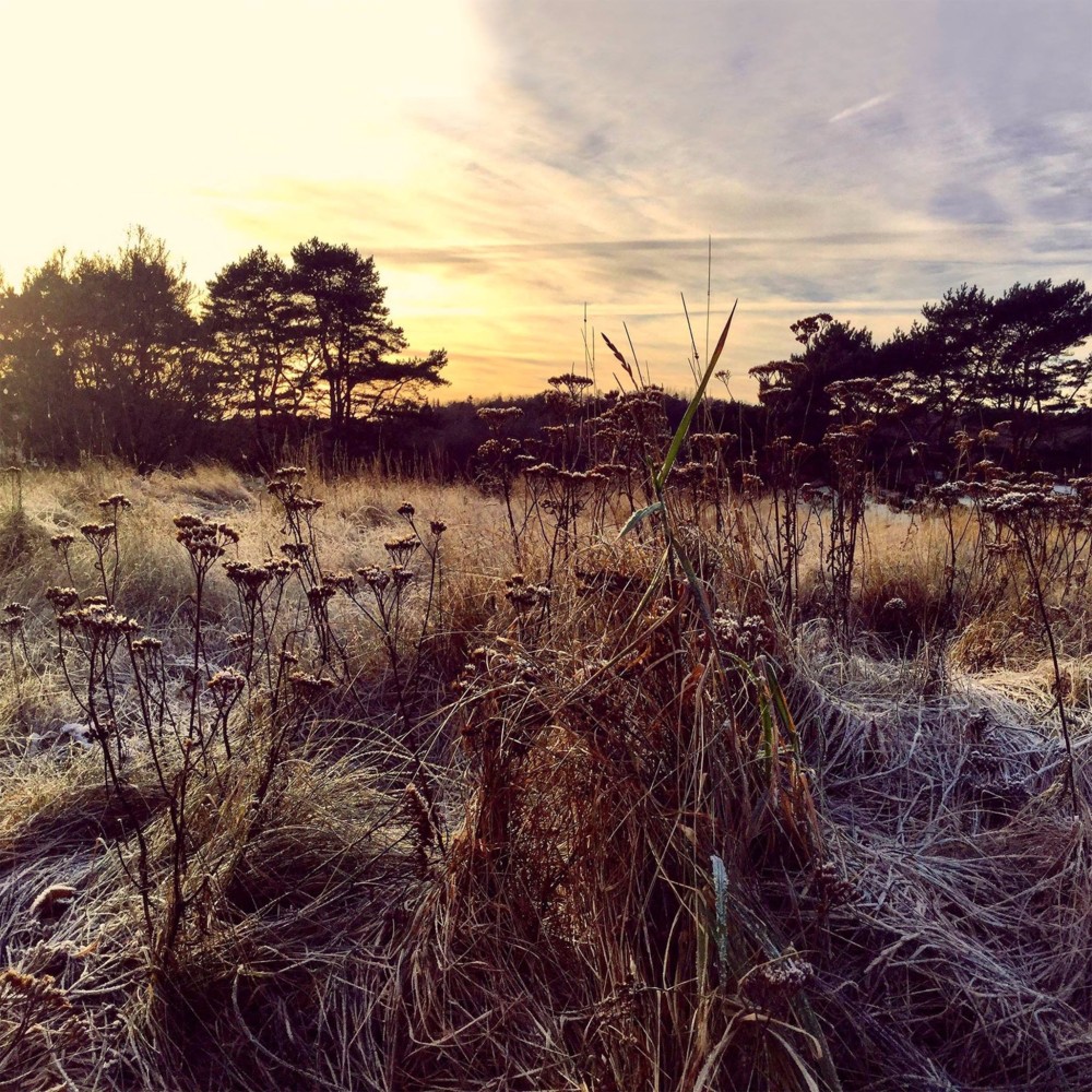 By Your Side by Ane Brun