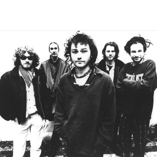 The Levellers Profile Picture Photo of The Levellers