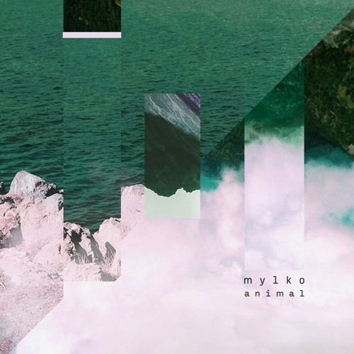 Album cover art for "Animal" by Mylko
