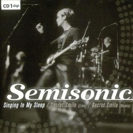 Singing in My Sleep by Semisonic