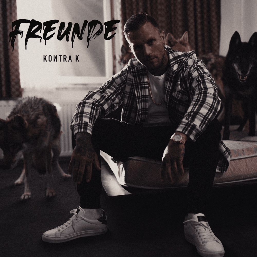 Album cover art for "Freunde" by Kontra K