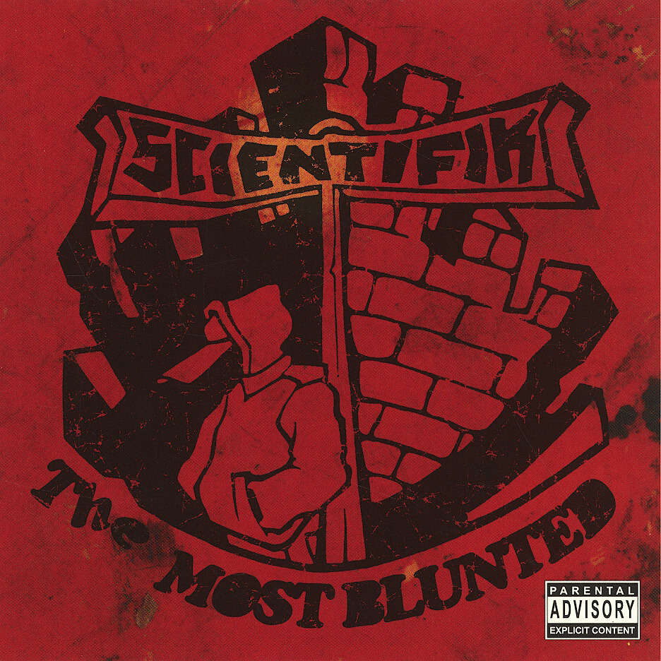 I Ain’t the Damn One by Scientifik