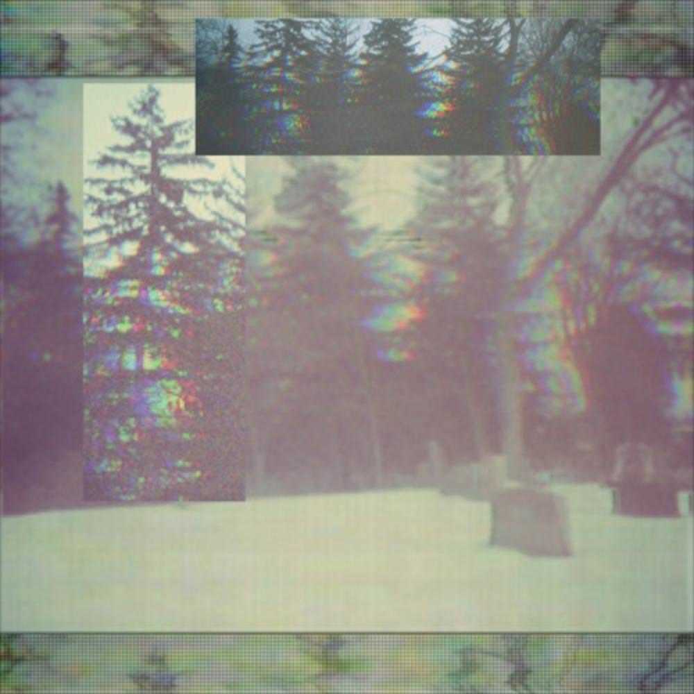 Album cover art for "Skin + Bones" by LiL Lotus & fats’e