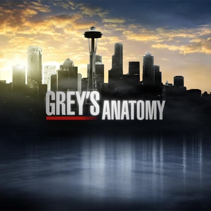 Cover image for Grey’s Anatomy