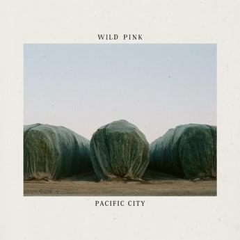 Album cover art for "Pacific City" by Wild Pink